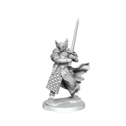D&D Frameworks: Dragonborn Paladin Male (6)