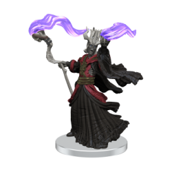 D&D Icons of the Realms:Tomb of Annihilation – Box 1 (Inglés)