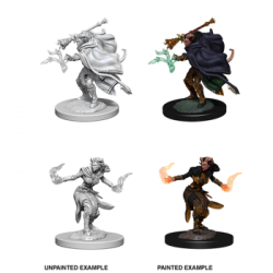 D&D Nolzur’s Marvelous Miniatures: Female Tiefling Warlock (6 Units)