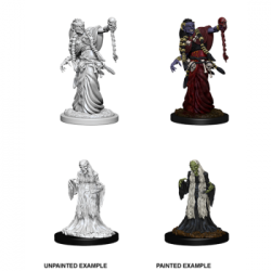 D&D Nolzur’s Marvelous Miniatures: Green Hag & Night Hag (6 Units)