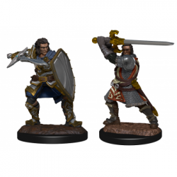 D&D Nolzur’s Marvelous Miniatures: Human Paladin Male (2)