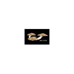 Star Trek: Attack Wing Hideki-Class Attack Squadron Pack (Inglés)