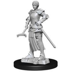 WizKids Deep Cuts Unpainted Miniatures – Towns People: Castle II